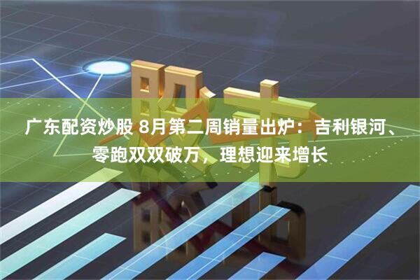 广东配资炒股 8月第二周销量出炉：吉利银河、零跑双双破万，理想迎来增长