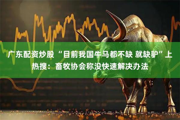 广东配资炒股 “目前我国牛马都不缺 就缺驴”上热搜：畜牧协会称没快速解决办法